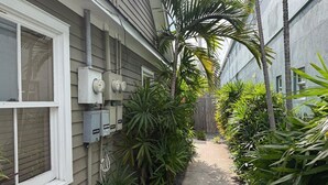 Un étroit sentier bordé d’une végétation luxuriante et de boîtiers techniques fixés à la façade d’un immeuble.