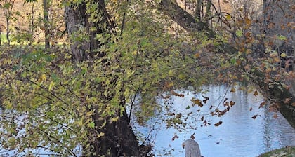 The Riverside Cottage... Charming 2-bedroom cottage on the Mohican River