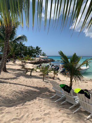 Serviettes de plage