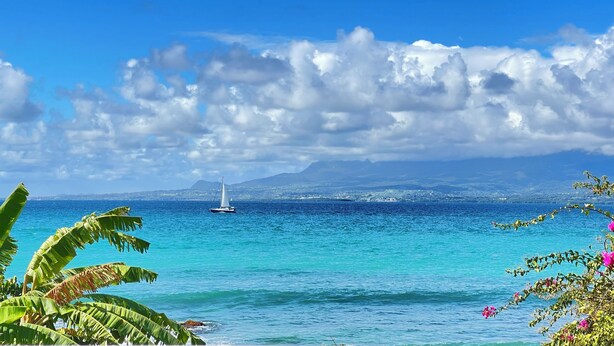 A coastal view with a sailboat on the water, mountains in the distance, and tropical vegetation in the foreground. - Chez Marguerite by Magcar (Le Gosier)
