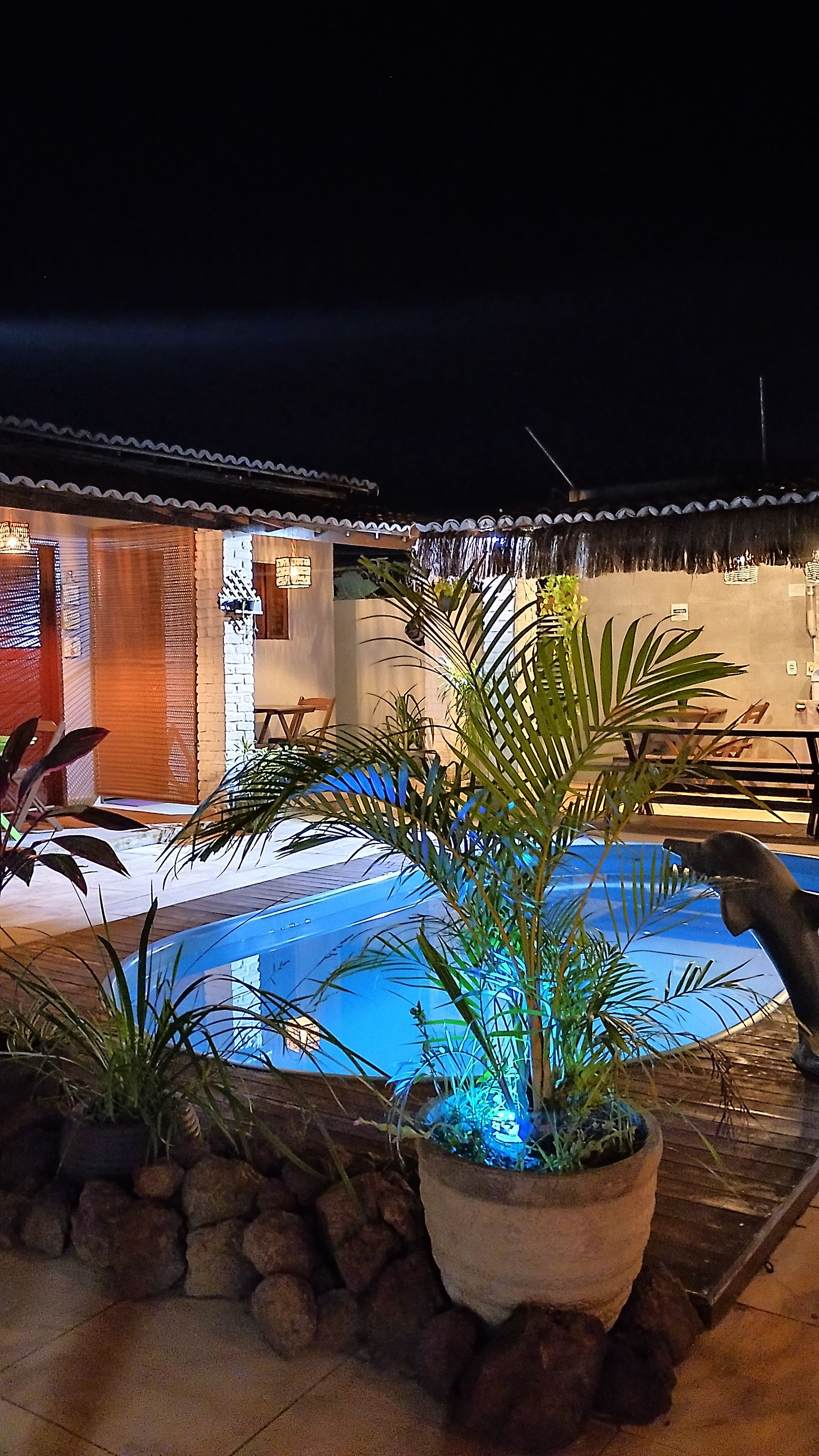 An outdoor pool area with a thatched-roof structure, potted plants, and a stone wall.