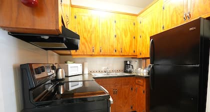 Cozy 1-bedroom apartment in charming Maysville - Apt B