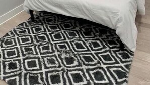 A bedroom with a bed, a patterned rug, a nightstand, and a lamp.