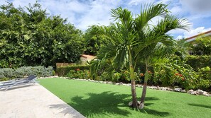 Property grounds - Kas di Rosa, 8p luxury villa, private pool, large outdoor area (Grote Berg)