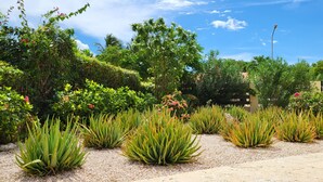 A garden with various plants and trees, a gravel path, and a clear blue sky. - Kas di Rosa, 8p luxury villa, private pool, large outdoor area (Grote Berg)