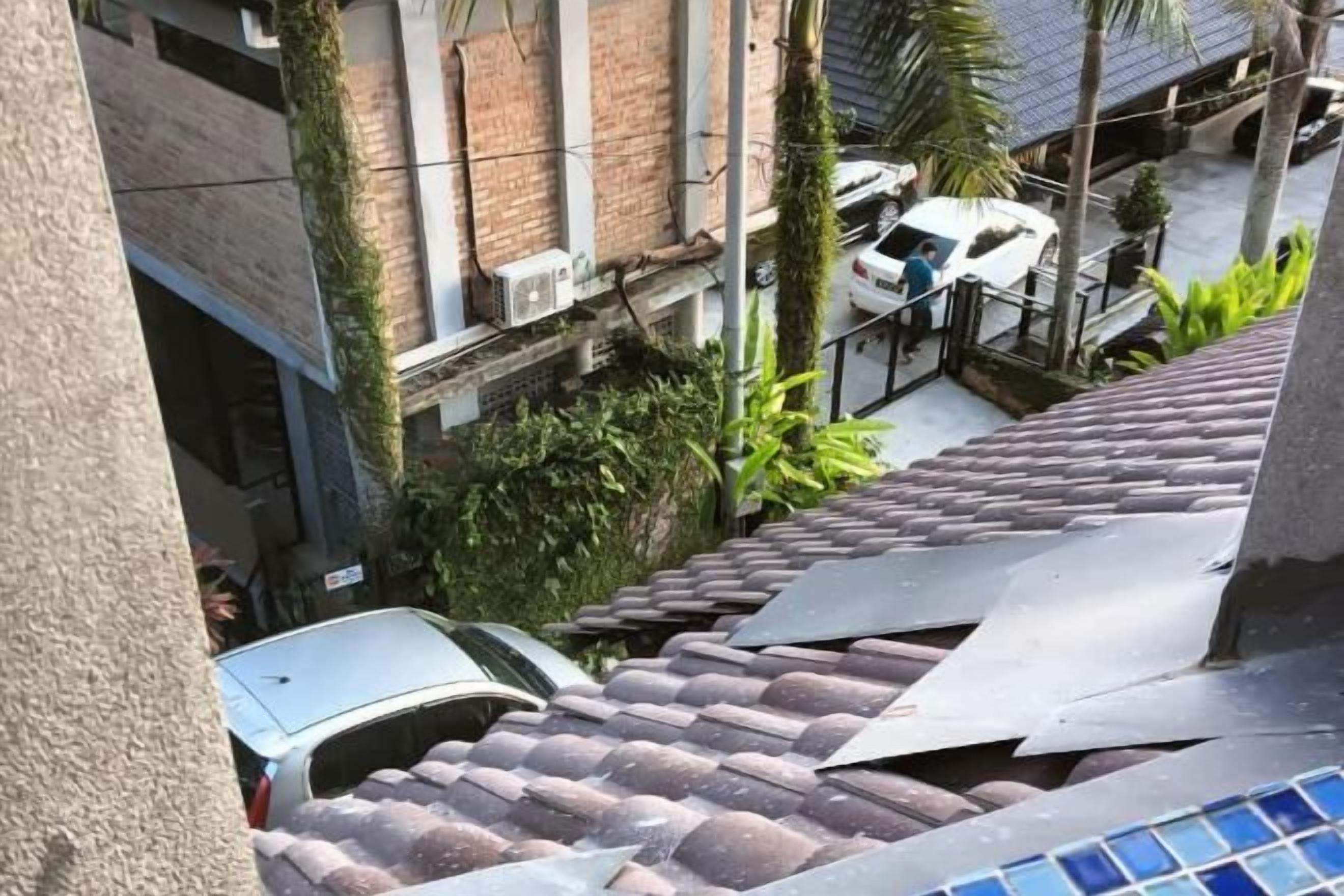 Vista des de l'allotjament