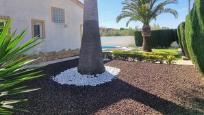Un área ajardinada con una palmera, una piscina y un seto bien cuidado.
