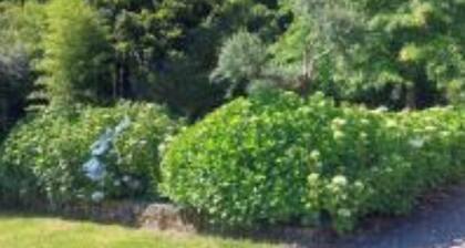 In the heart of Gerês, between lakes, rivers and mountains and