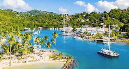 Modern 1 bed guesthouse with pool and ocean view!