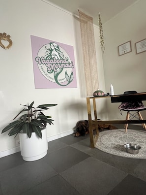 Interior - Vagabond Mermaid Guesthouse (Ponta Delgada)