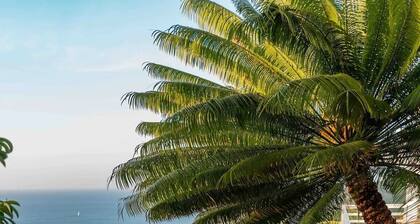 Luxury mountain top Villa!