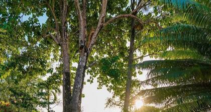 Amazing mountain top villa!