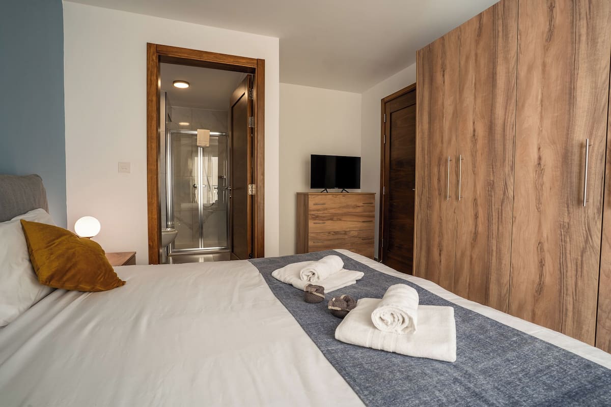 Habitación de hotel con cama, televisión, armario y zona de ducha.