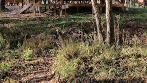 Un rustico chalet con veranda in legno e un piccolo portico, immerso tra alberi e un'area verde.