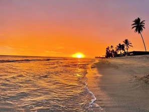 A beach with a sunset, palm trees, and ocean waves.