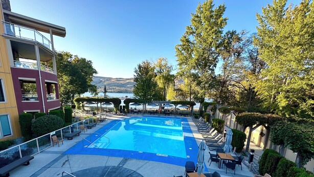 Une piscine entourée de verdure, avec des chaises longues et des parasols, et offrant une vue sur les collines.