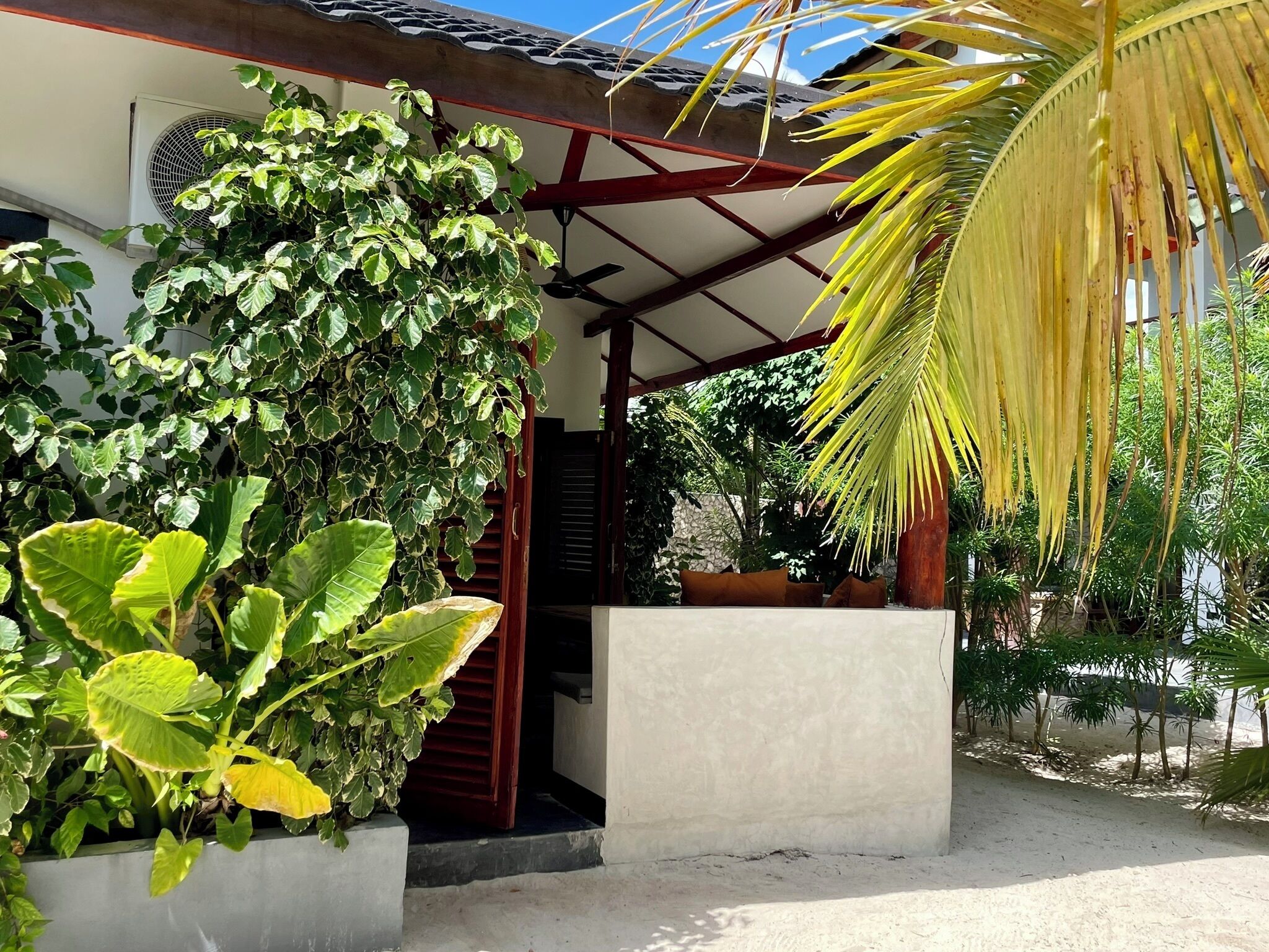 A covered outdoor area with a concrete bench, a palm tree, and various green plants.