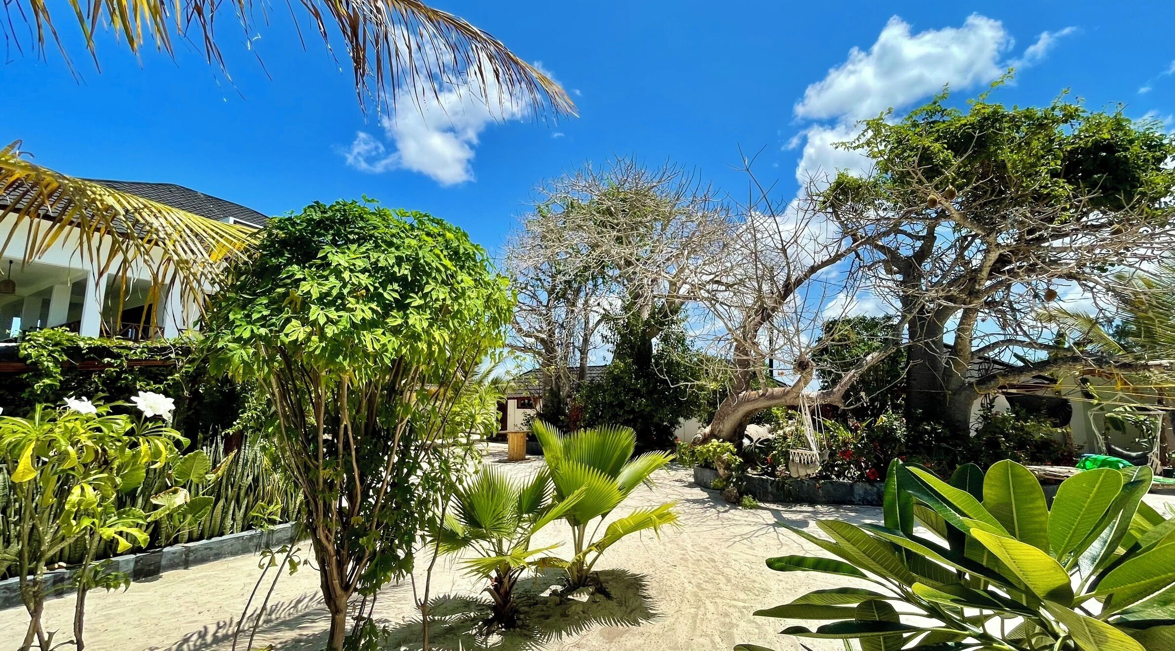 Superior-Apartment, Gartenblick | Ausblick vom Zimmer