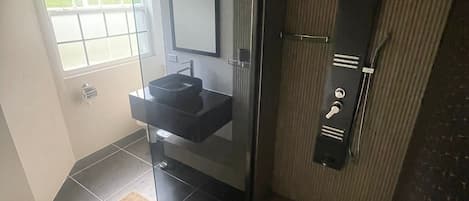 Shower, towels, soap, toilet paper
