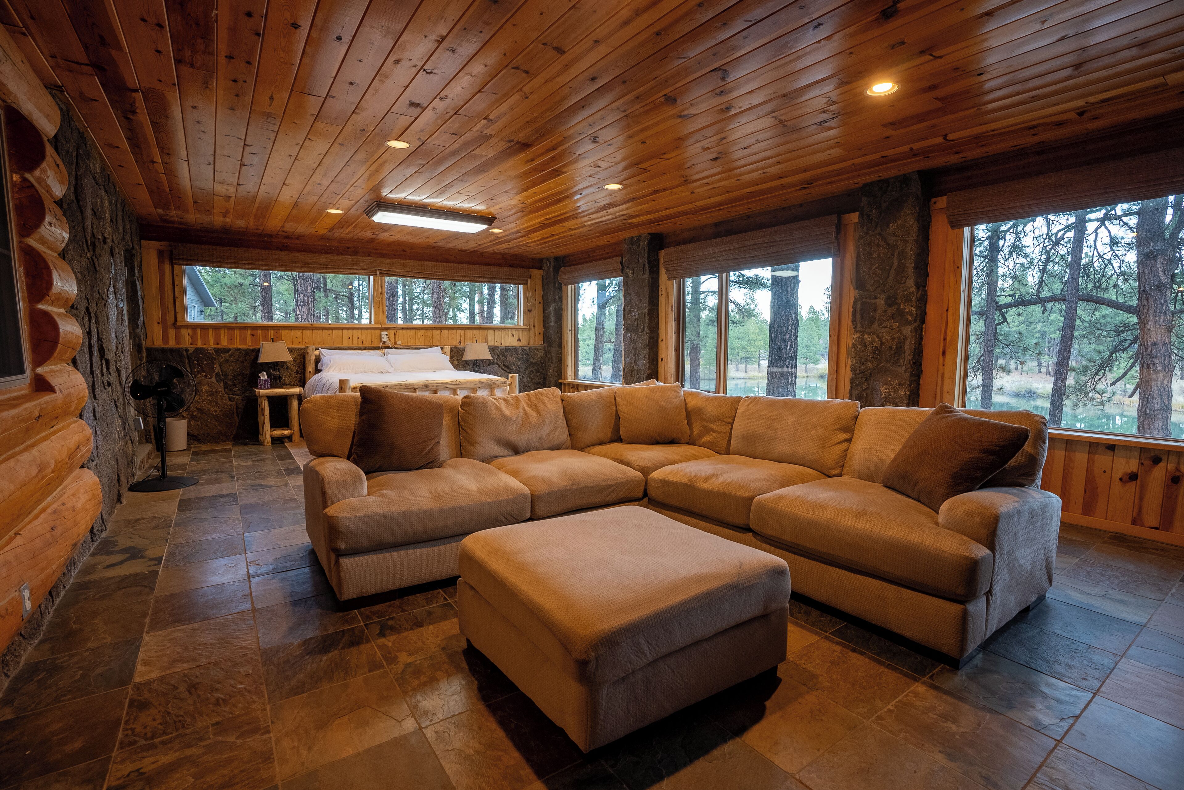 Smart TV, caminetto, lettore DVD, libri