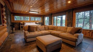 Smart TV, caminetto, lettore DVD, libri