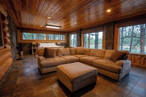 スマートテレビ、暖炉、DVD プレーヤー、書庫