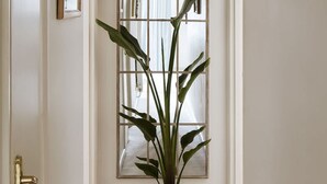A potted plant in a hallway with a decorative glass door and a framed mirror on the wall. - Colourful House 3 Bed Apt - Notting Hill (London)