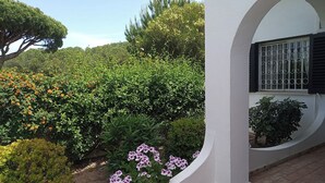 A garden with various plants and flowers, a white wall, and a window with black shutters. - Thymbra Villa, Vale do Lobo, Algarve (Vale do Lobo)