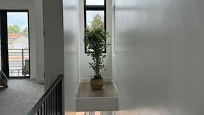 A hallway with a potted plant on a shelf, a window, and a door leading outside.