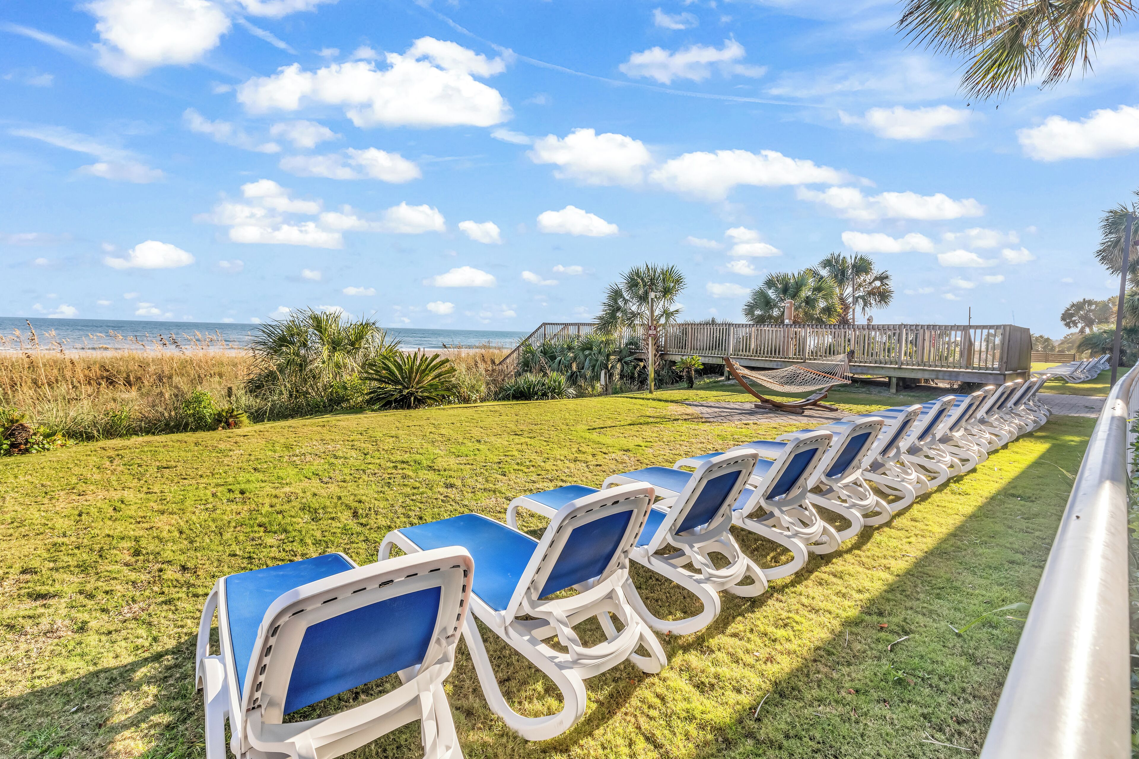 A row of blue lounge chairs on a grassy area with a wooden boardwalk and palm trees in the background.