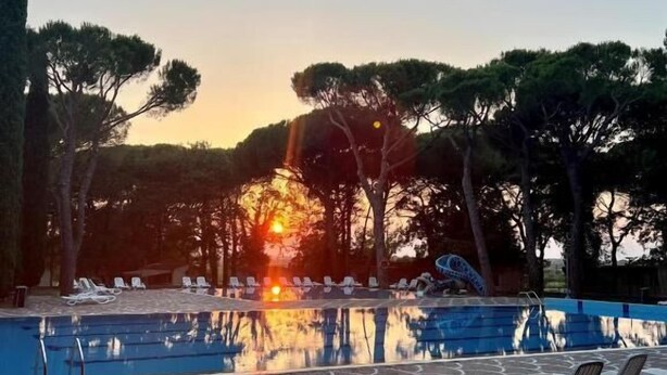 A swimming pool with lounge chairs, surrounded by trees, during sunset.