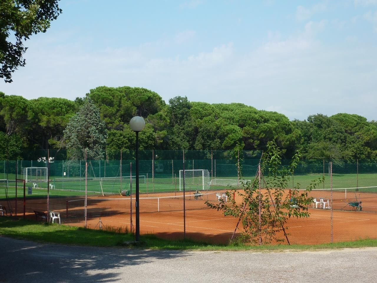 Una cancha de tenis con una red, rodeada por una valla y árboles.