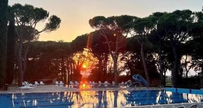 Belvedere Pineta Village Mobilehome Green Holiday for 6 persons