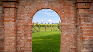 Un arco de ladrillo con vistas a un viñedo.