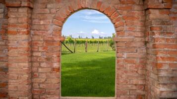 A brick archway with a vineyard view.