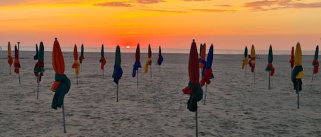 Playa en los alrededores