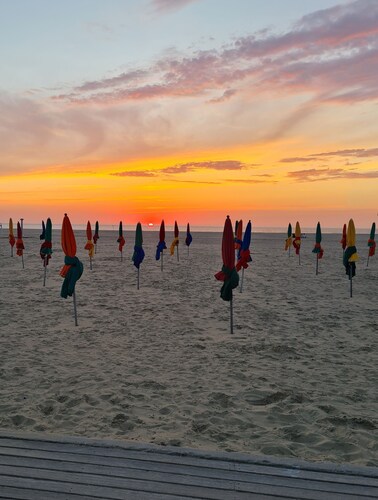 The London house, very nice and cosy apartment - 50m from the beach, unbeatable location!