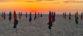 Le London house, trĂšs bel appartement cosy - 50m plage emplacement imbattable !