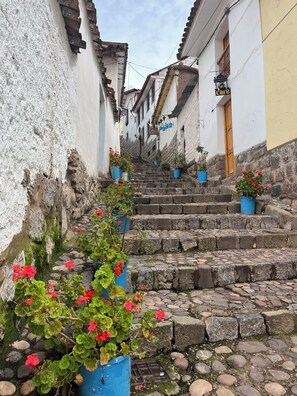 A narrow stone staircase in a traditional building with potted plants and a cafe sign.