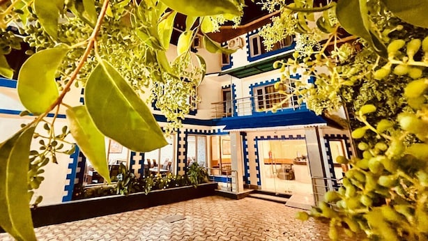 Un edificio con fachada azul y blanca, un patio con baldosas y follaje en primer plano.