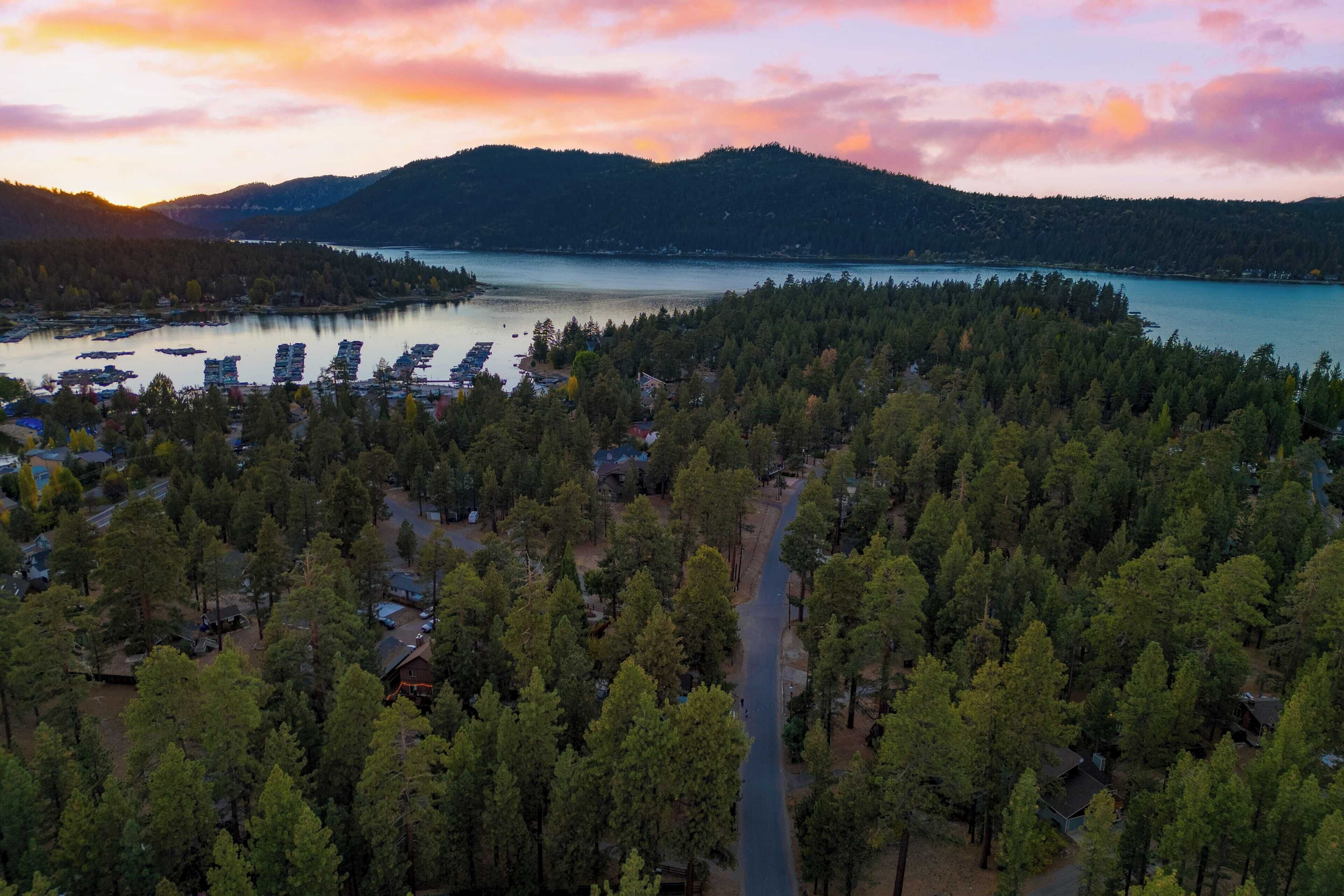 An aerial view of a lakeside property with dense forest, a dock with boats, and a road leading through the trees.