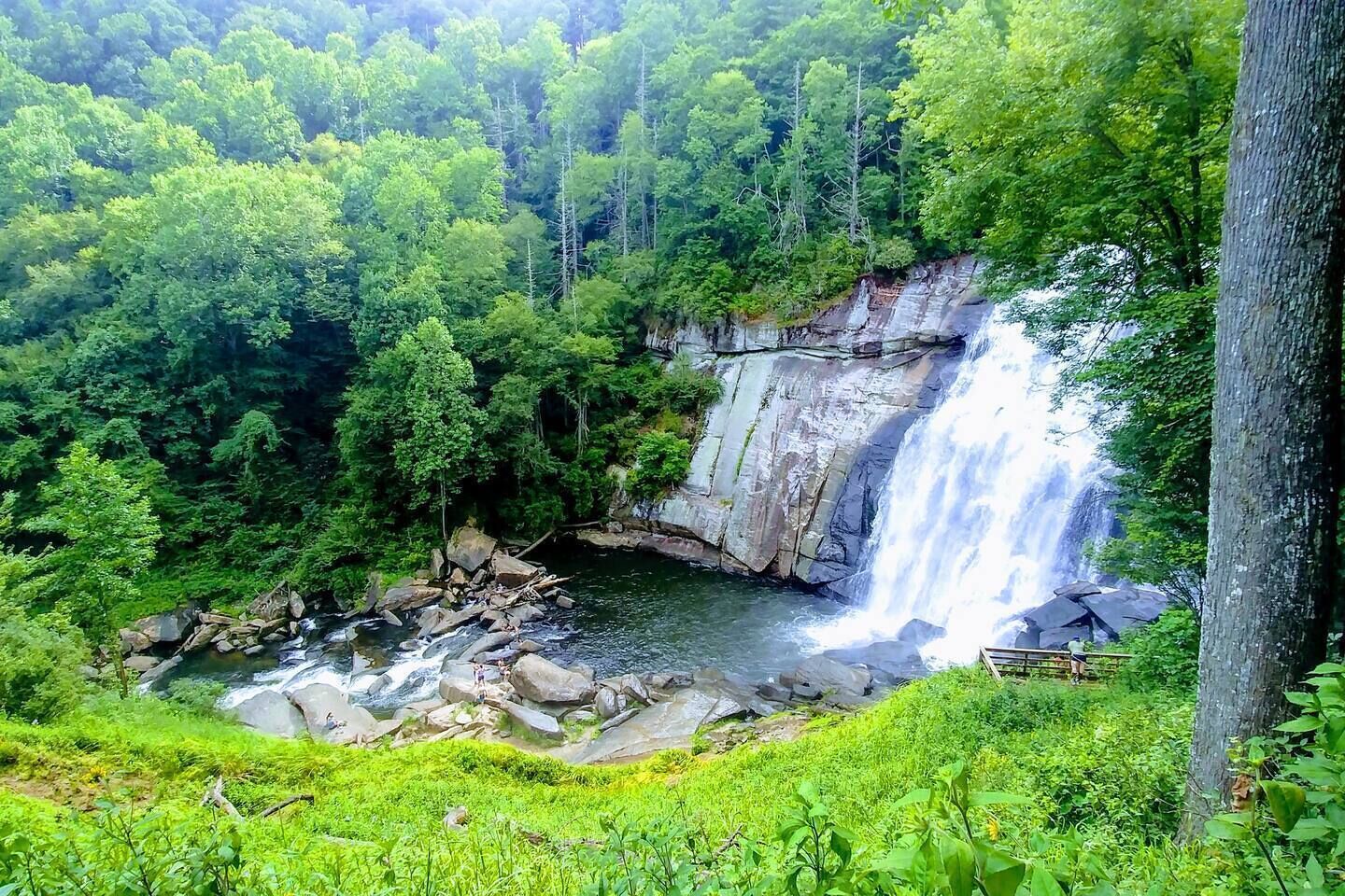 Ein Wasserfall, umgeben von üppiger Vegetation.