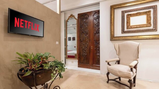 A room with a Netflix sign, a potted plant, a wooden door, and a framed picture on the wall. - Luxurious home of the antiquarian at Spanish Steps (Rome)