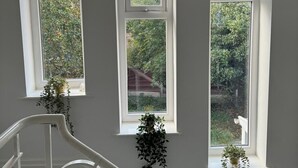 A room with three windows, each with a hanging plant.