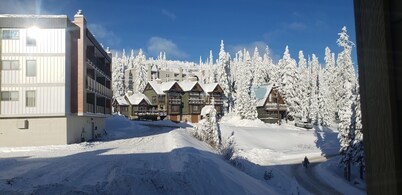 Ski In/Ski Out 1 Bedroom fully renovated condo right in Big White Ski Resort