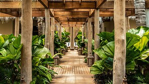 A covered walkway with wooden pillars, surrounded by lush tropical plants.