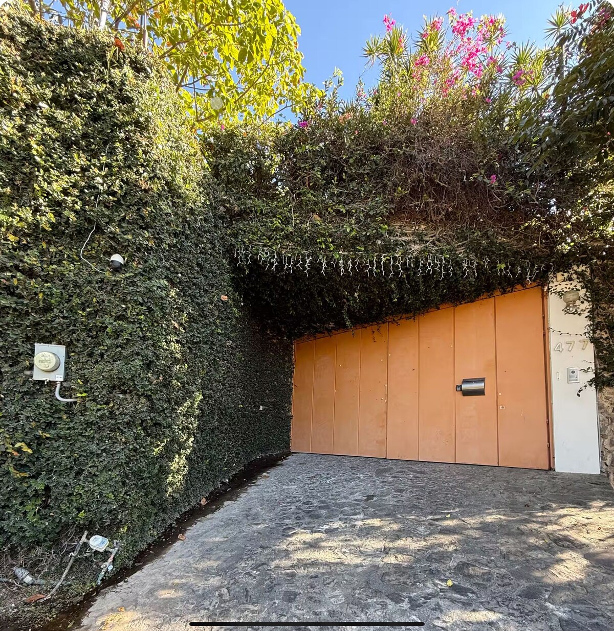 Imagen de perfil del propietario o de la propietaria