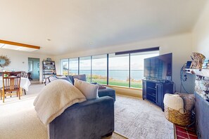 TV, fireplace, DVD player, books