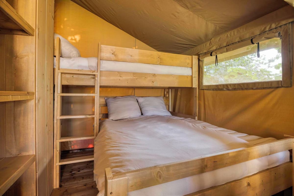 A bunk bed with a ladder, a window with a view of trees, and a wooden interior.
