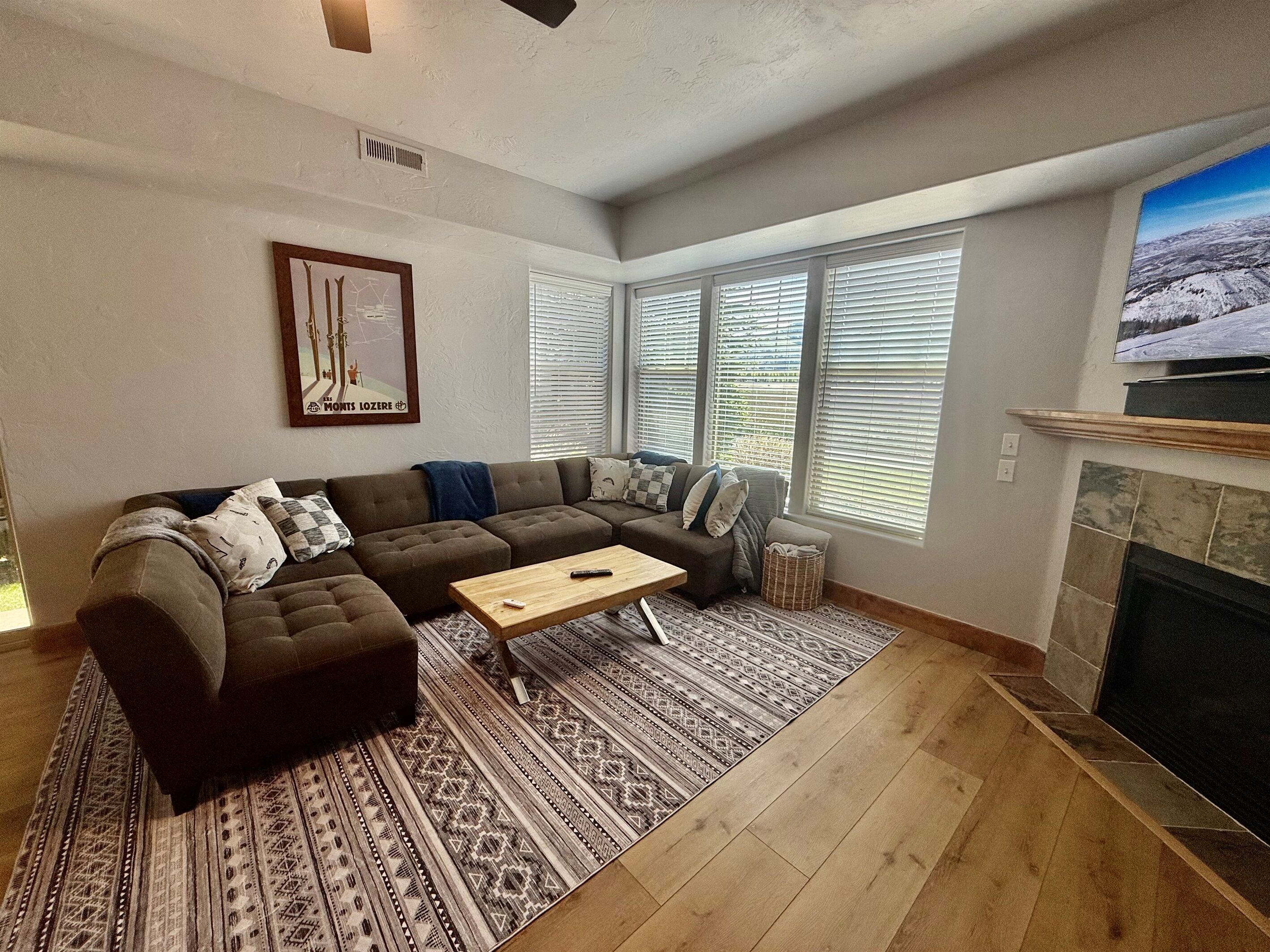 Smart TV, fireplace, books